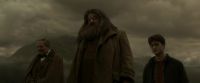 EdP-Potterish10330.jpg