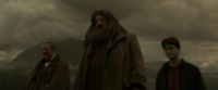 EdP-Potterish10332.jpg