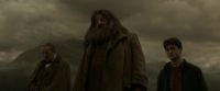 EdP-Potterish10333.jpg