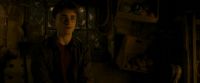 EdP-Potterish10588.jpg
