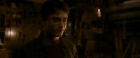 EdP-Potterish10660.jpg