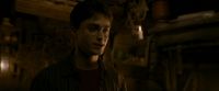 EdP-Potterish10686.jpg