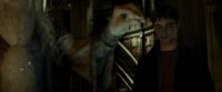 EdP-Potterish10762.jpg