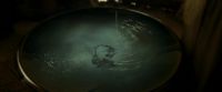 EdP-Potterish10766.jpg