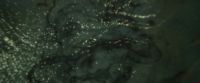 EdP-Potterish10768.jpg