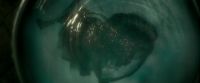 EdP-Potterish10986.jpg