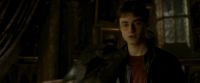 EdP-Potterish11048.jpg