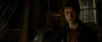 EdP-Potterish11049.jpg