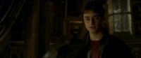 EdP-Potterish11052.jpg