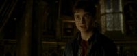 EdP-Potterish11074.jpg