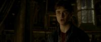 EdP-Potterish11090.jpg