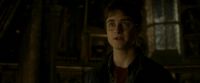 EdP-Potterish11098.jpg