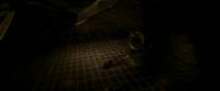 EdP-Potterish11109.jpg