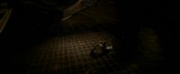 EdP-Potterish11115.jpg