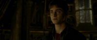 EdP-Potterish11131.jpg