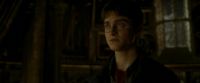 EdP-Potterish11133.jpg