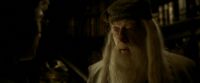 EdP-Potterish11162.jpg