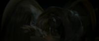 EdP-Potterish1134.jpg