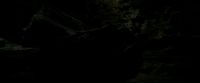 EdP-Potterish11440.jpg
