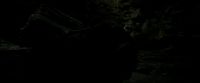 EdP-Potterish11441.jpg