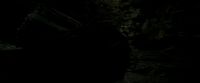 EdP-Potterish11442.jpg