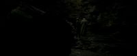 EdP-Potterish11445.jpg