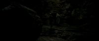 EdP-Potterish11449.jpg