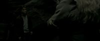 EdP-Potterish11469.jpg