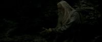 EdP-Potterish11478.jpg
