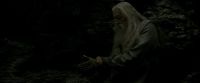 EdP-Potterish11479.jpg