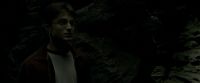 EdP-Potterish11483.jpg