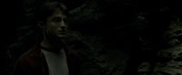 EdP-Potterish11484.jpg