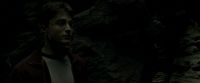 EdP-Potterish11485.jpg