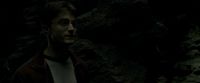 EdP-Potterish11487.jpg