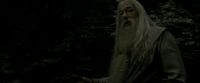 EdP-Potterish11490.jpg