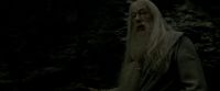 EdP-Potterish11491.jpg