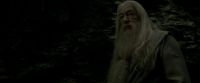 EdP-Potterish11492.jpg