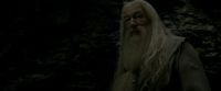 EdP-Potterish11495.jpg