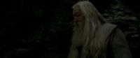 EdP-Potterish11496.jpg