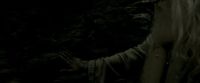 EdP-Potterish11500.jpg