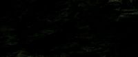 EdP-Potterish11507.jpg