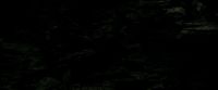 EdP-Potterish11509.jpg