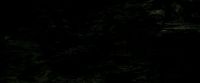 EdP-Potterish11510.jpg