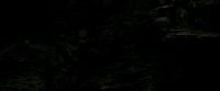 EdP-Potterish11513.jpg