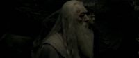 EdP-Potterish11514.jpg
