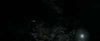 EdP-Potterish11523.jpg