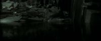 EdP-Potterish11597.jpg