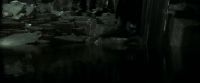 EdP-Potterish11598.jpg
