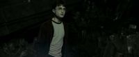 EdP-Potterish11613.jpg