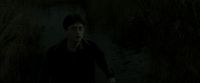 EdP-Potterish1163.jpg